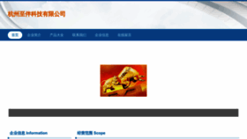 What Hzzhiban.cn website looked like in 2023 (This year)