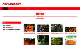 What Hbhunhui.cn website looked like in 2023 (This year)
