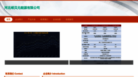 What Hbbwieb.cn website looked like in 2023 (This year)