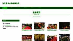 What Hbmaofa.cn website looked like in 2023 (This year)