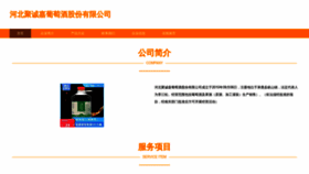 What Hbjucjx.cn website looked like in 2023 (This year)