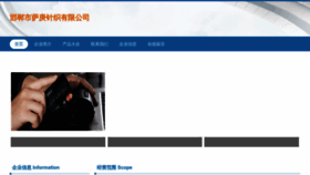 What Hdsgrvp.cn website looked like in 2023 (This year)