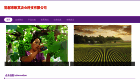 What Hdzyzy.cn website looked like in 2023 (This year)