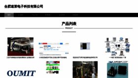 What Hfhdlqb.cn website looked like in 2023 (This year)