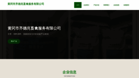 What Hgqtwdl.cn website looked like in 2023 (This year)