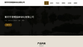 What Hgsfdw.cn website looked like in 2023 (This year)