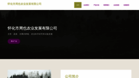 What Hhtzyyw.cn website looked like in 2023 (This year)