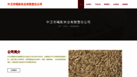 What Hkviccq.cn website looked like in 2023 (This year)