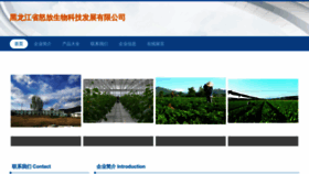 What Hlnnuvf.cn website looked like in 2023 (This year)