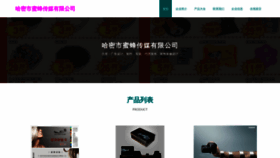 What Hmfifib.cn website looked like in 2023 (This year)