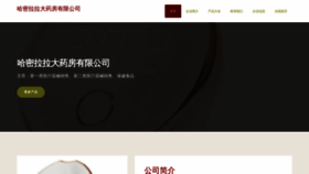What Hmmlalala.cn website looked like in 2023 (This year)