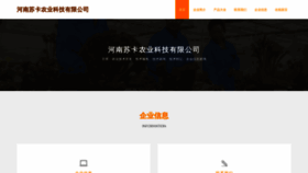 What Hnsuka.cn website looked like in 2023 (This year)