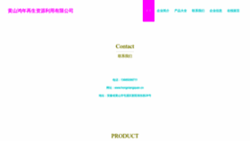 What Hongniangquan.cn website looked like in 2023 (This year)