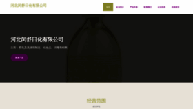 What Hbrunshu.cn website looked like in 2023 (This year)