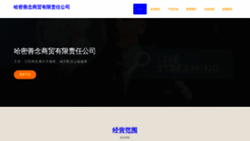 What Hmsynw.cn website looked like in 2023 (This year)