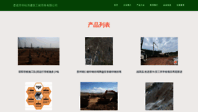 What Healthyp.cn website looked like in 2023 (This year)