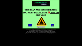 What Hemporiumboutique.com website looked like in 2023 (This year)