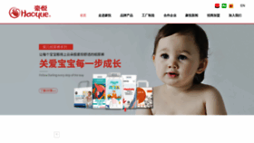 What Hz-haoyue.com website looked like in 2023 (This year)