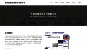 What Hfzhongan.com website looks like in 2024 