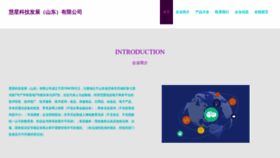 What Hongxincg.com website looks like in 2024 