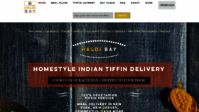 What Haldibay.com website looks like in 2024 