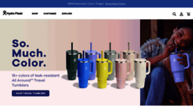 What Hydroflask.com website looks like in 2024 