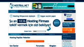 What Hostbul.net website looks like in 2024 