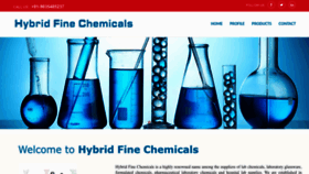 What Hybridfinechemicals.com website looks like in 2024 