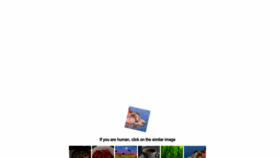 What Hisgames.org website looks like in 2024 