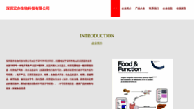 What Hongyisw.com website looks like in 2024 