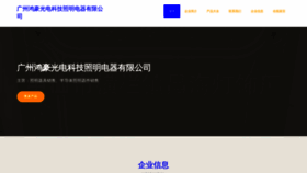 What Hohao-light.com website looks like in 2024 