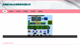 What Hnjinshengxi.com website looks like in 2024 