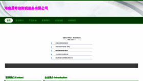 What Hainan-dyx.com website looks like in 2024 