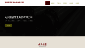 What Hbboyangjituan.com website looks like in 2024 