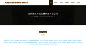 What Hesuanjiu.com website looks like in 2024 