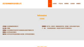 What Hezhi-iot.com website looks like in 2024 
