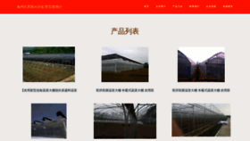 What Hongfeng12.com website looks like in 2024 
