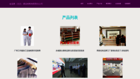 What Hongxinjindian.com website looks like in 2024 