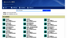What Haikouzhaopin.com website looks like in 2024 
