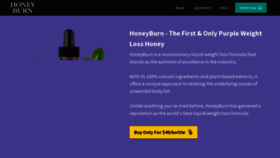What Honeyburnbuynow.us website looks like in 2024 
