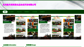 What Hengyuejt.com website looks like in 2024 