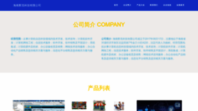 What Hainanhuike.com website looks like in 2024 
