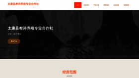 What Huashigeye.com website looks like in 2024 