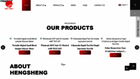 What Hengshengmd.com website looks like in 2024 