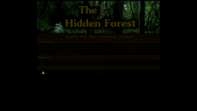 What Hiddenforest.co.nz website looks like in 2024 