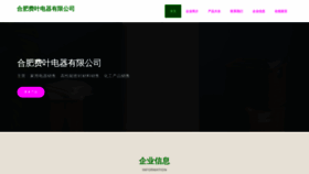 What Hflye.cn website looks like in 2024 