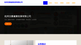 What Hivesafe.cn website looks like in 2024 