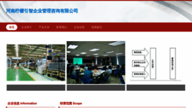 What Hnpmz.cn website looks like in 2024 