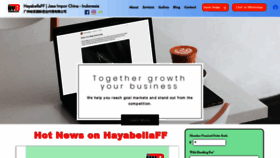 What Hayabellaff.net website looks like in 2024 