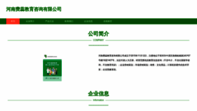 What Hnfeirui.com website looks like in 2024 
